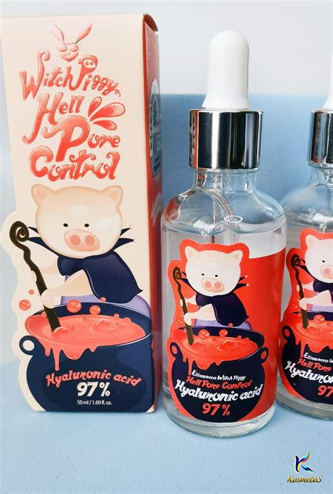 Common Misconceptions about Witch Piggy Hell Pore Control: Debunked